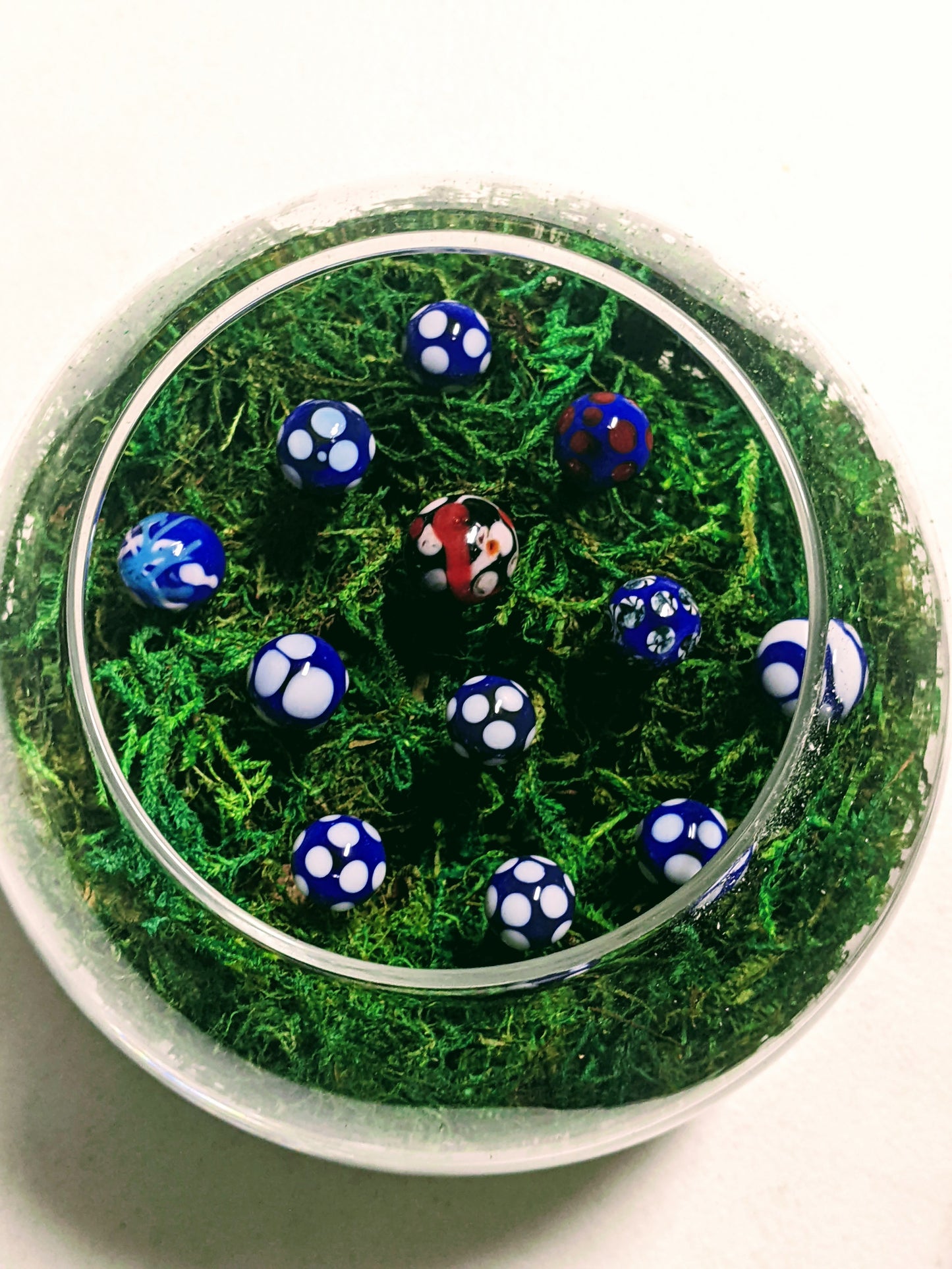 Murano Glass Mushroom Garden (Lapis)